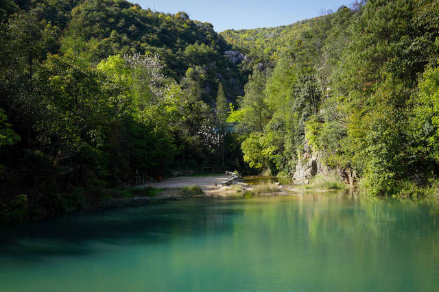 平静的湖面,依旧是一片绿色.