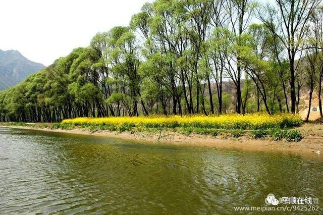 走遍平顺之柳树湾--不容错过的风景