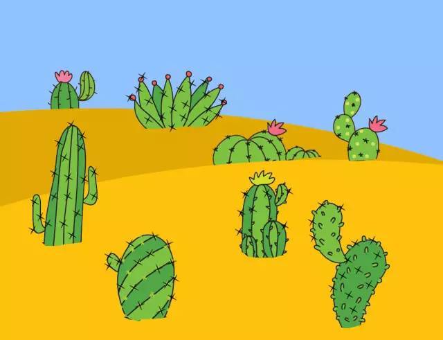 【漫画百科】仙人掌为什么能在沙漠里生长