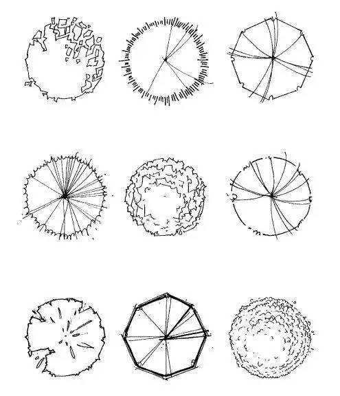 再懒也能画好景观树平面,学起来!