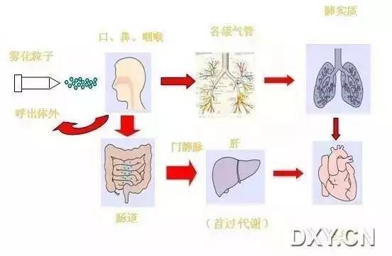 雾化吸入知识精讲