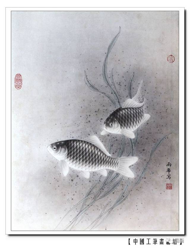 路雨年工笔鱼类画法