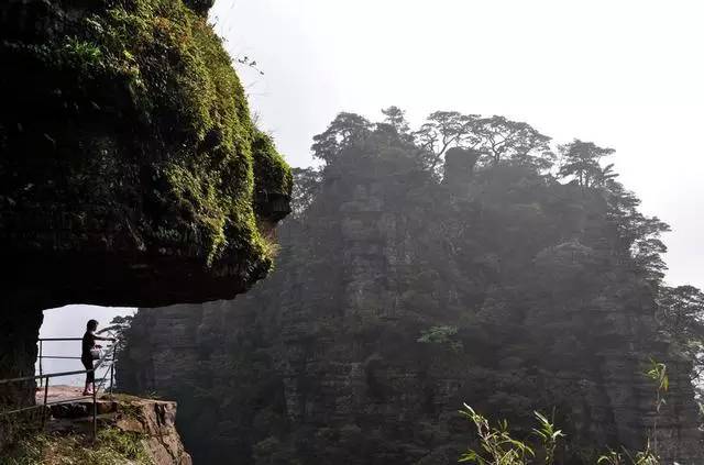 崩解为特色的刚棱削面塔柱地貌 在圣堂山,随处可见丹霞地貌 壁立朱崖