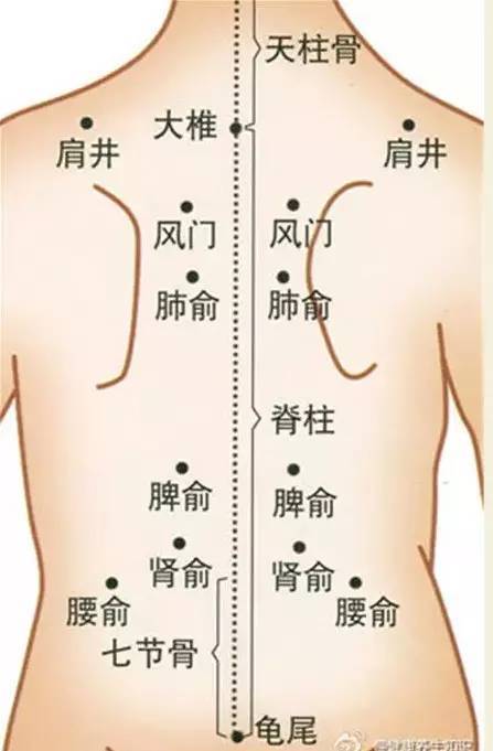 先, 大椎尾闾通督阳,百会涌泉连上下, 开心活关前后心,神阙命门先后天