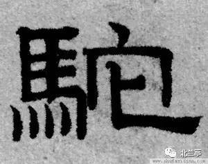 每日一字 | 驰