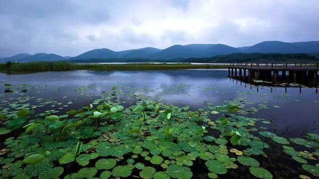 佳县经济gdp多少_佳县白云山