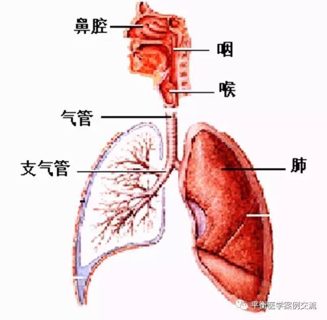 佑三案例 | 小儿支气管肺炎15天痊愈