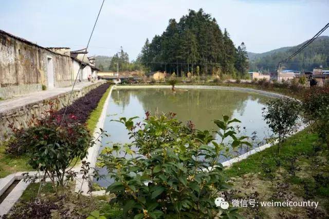 前洋村,青山秀水,历史悠久,民风纯朴!