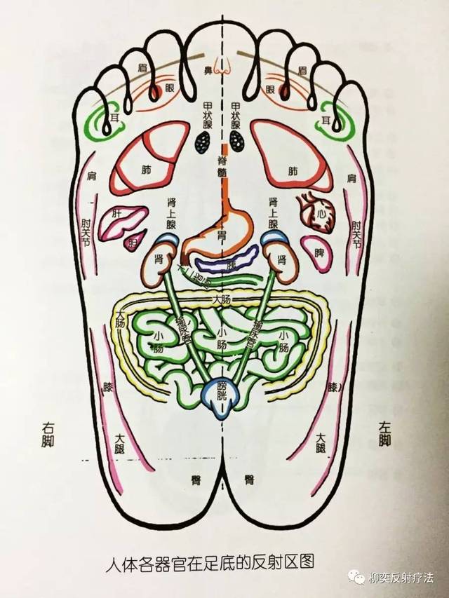 当我们在脚底的心脏反射区进行按摩的时候,我们可以通过对方表现出来