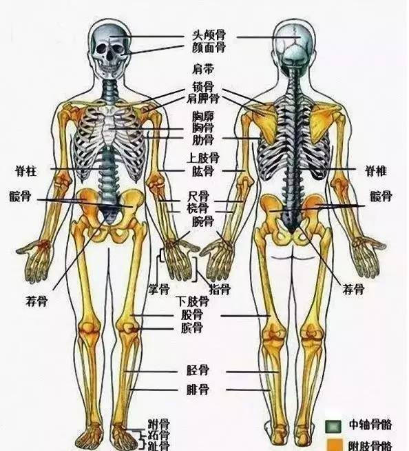 人体八大系统发病顺序,千万别越过第5道门槛!