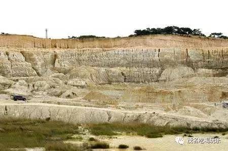 离开茂名?别后悔!明天的茂名,你高攀不起!