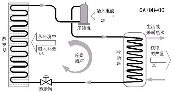 森林吸收粉尘的原理是什么_石棉粉尘是什么样子的(2)