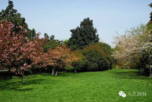 【热卖《西湖园林植物景观艺术》获得中国风景园林学会科技进步奖