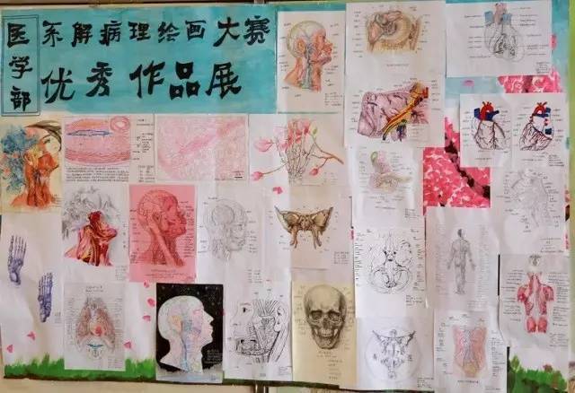 学部动态|丹青妙笔绘医学之美——记医学部病理系解绘画大赛