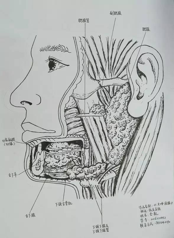 学部动态|丹青妙笔绘医学之美——记医学部病理系解绘画大赛