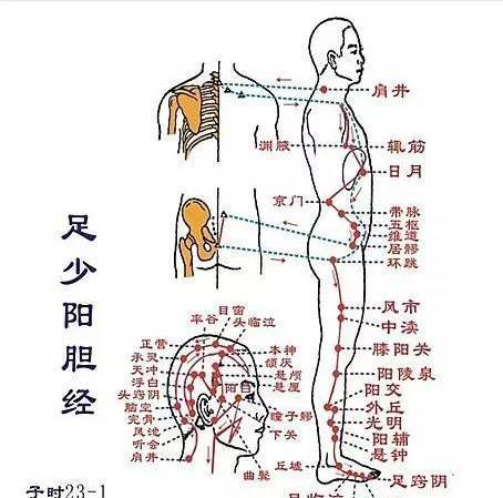 胆经堵全身都堵一个穴位畅通全身之气