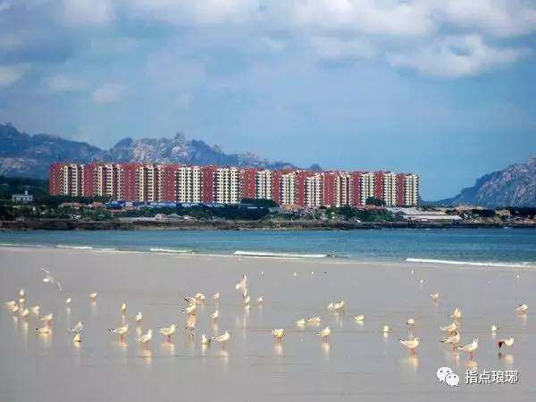 青岛琅琊台省级旅游度假区宣传片《古韵琅琊,养心灵地》出炉了,速速