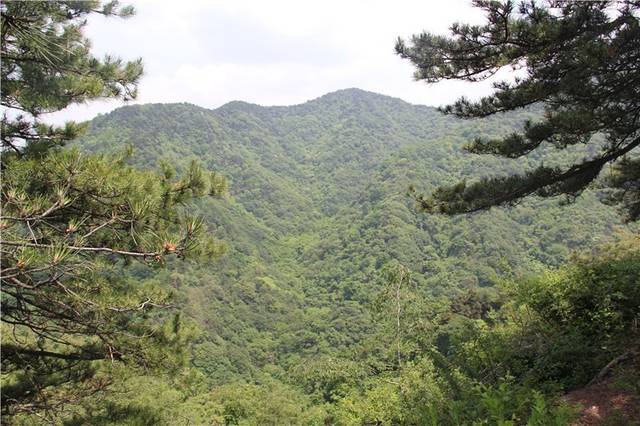 而且平均树龄为50-70年 燕子山国家级森林公园 这里有 两条清澈的