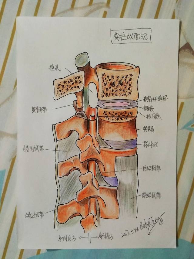 14张医学手绘,见证医生偶像的力量!