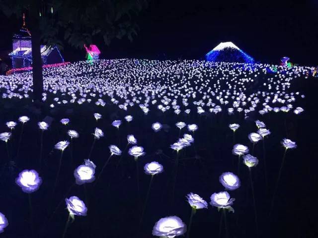 朋友圈传疯了!广东最浪漫夜景海滩就在玫瑰海岸,这辈子必须去一次!