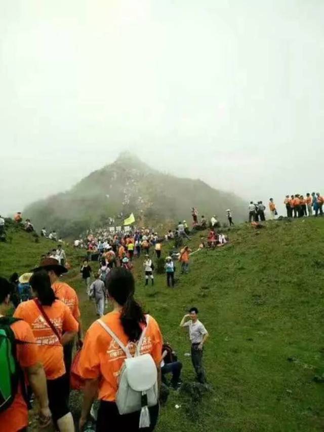 信宜旅游资讯:五一为信宜合水鸡笼顶云锦杜鹃最佳赏花