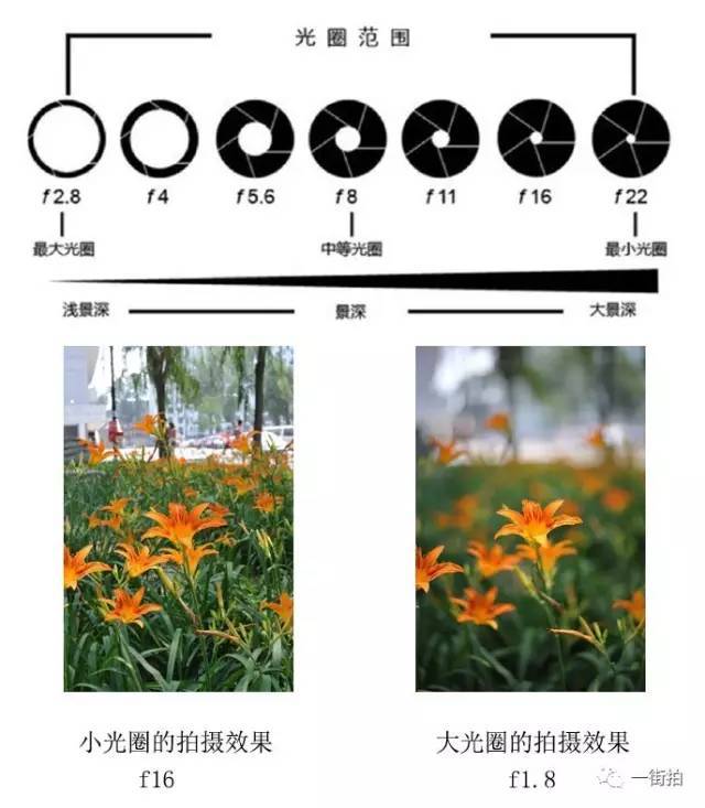 举个栗子 f1.8比f2.8光圈大