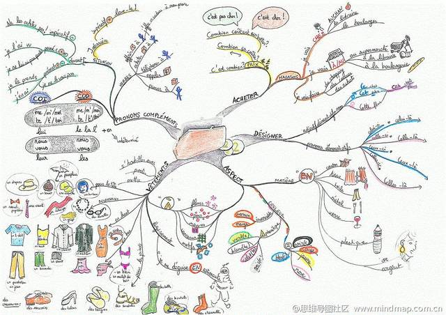 绘制思维导图购物清单,培养孩子信息梳理归类能力!