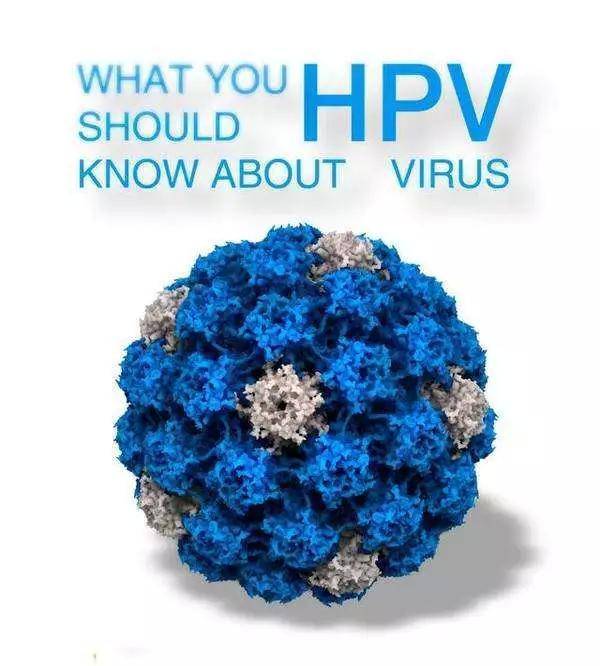 关于HPV,咪蒙老师没告诉你的那些事儿