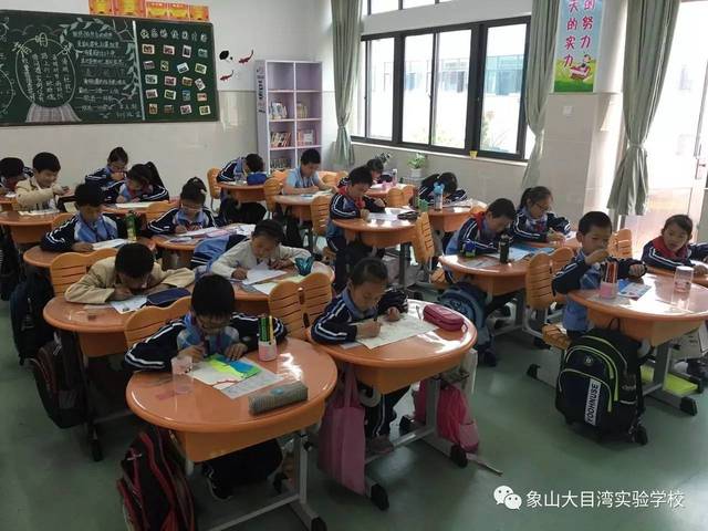 大目湾学校的娃儿们用行动"回答!