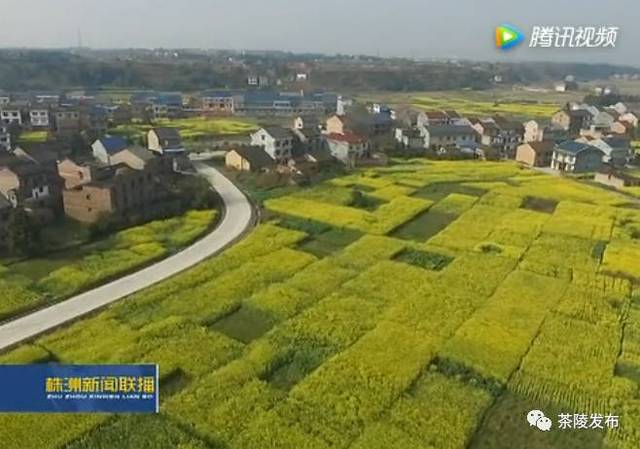 茶陵县洣江街道渡里村风光