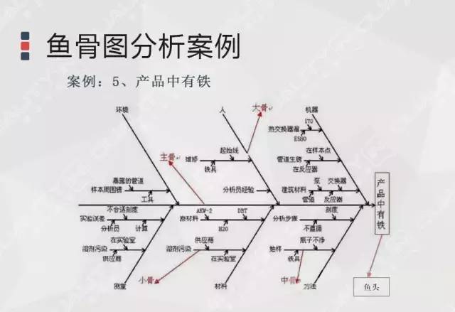 用鱼骨图分析法——找出问题的根本原因