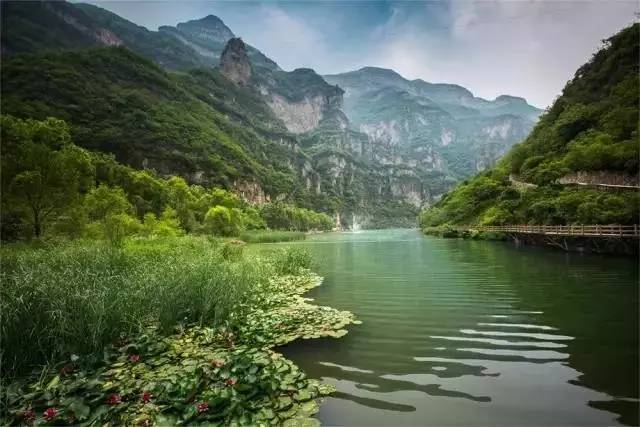 焦作青天河 五一小长假期间,青天河风景区游客如潮,景区门口排起了