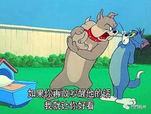 当初门斗的小公主 看动画片的时候 看到tom在追赶jerry 把小tyke吵醒