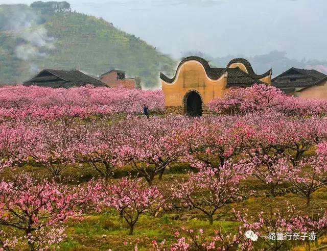 系省级生态文化村,美丽乡村重点示范村,少数民族特色村寨,福安市