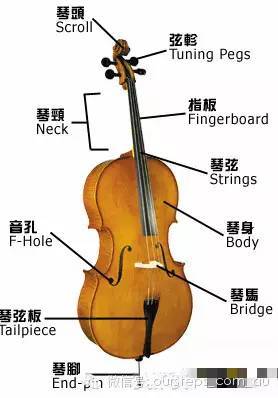 大提琴:学乐器的另一选择