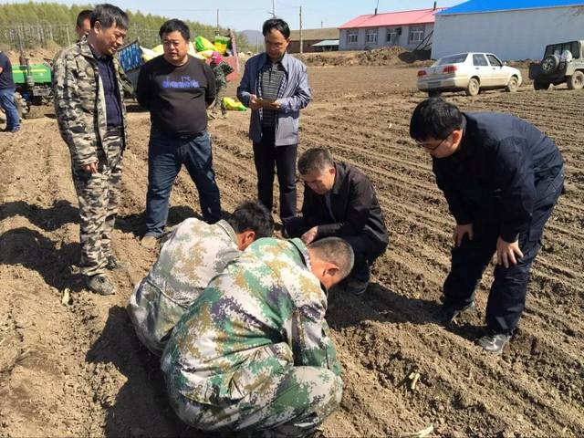 八五一〇农场场长带队深入管理区检查指导春播生产情况