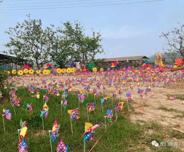 虎门田心农场首届《油纸伞·风车主题乐园》隆重开幕!免费门票大派送!