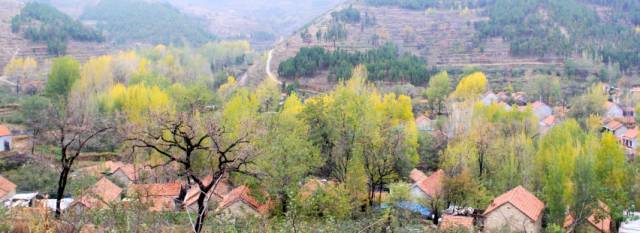 沂源还有县城北部林果大观园,翠屏山,圣佛山,唐山,凤凰山,天湖等特色