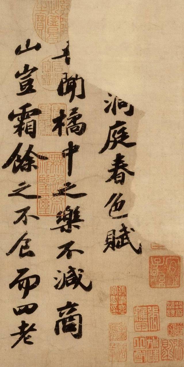 苏轼,字子瞻,号东坡居士.四川眉山人.