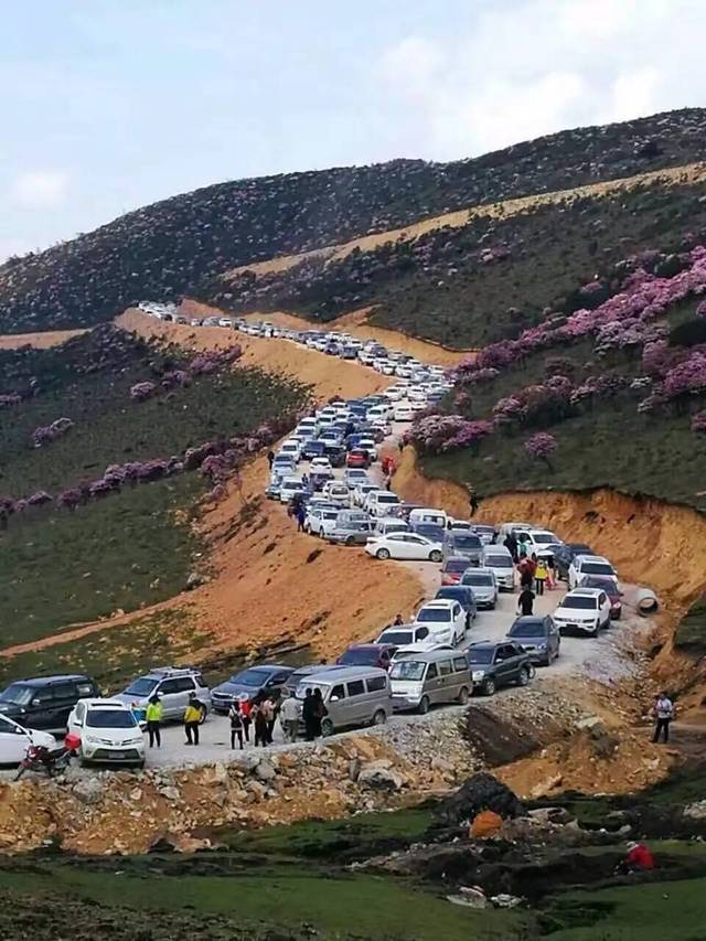 海口牧场在哭泣!今天刷爆西昌人朋友圈的螺髻山海口牧场让人无法入睡.