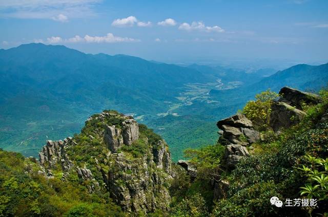 罗坑"茶岩顶"赏高山杜鹃花