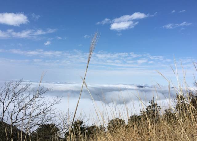 景区内的海拔1210米的天堂顶是 广州地区高山之最 谁说我们广州没有