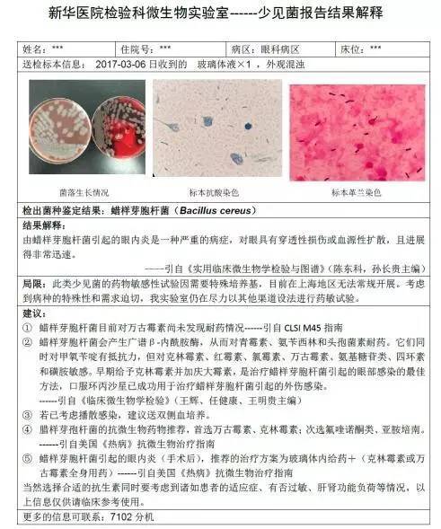 1例蜡样芽胞杆菌眼内炎带来的深度剖析