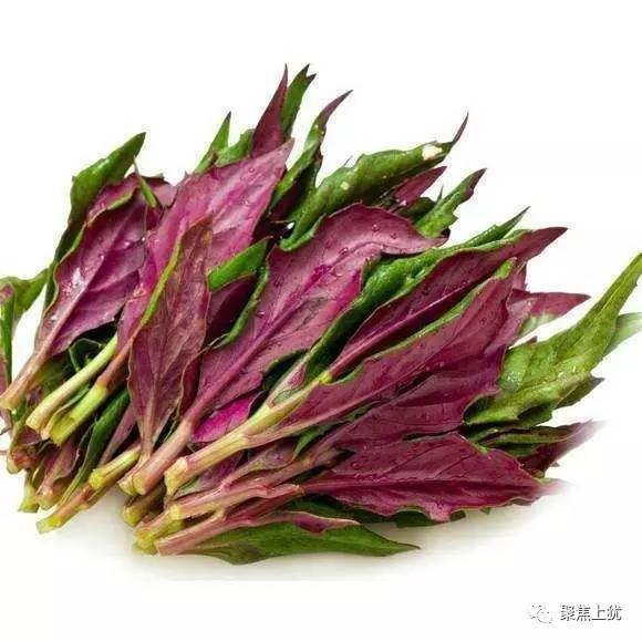 人常吃的这个红皮菜, 专家说是一级致癌物?