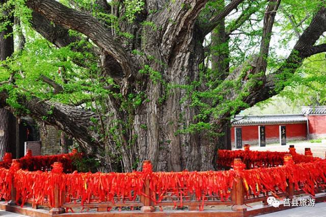 莒县浮来山,一个被文人骚客惦记千年的地方