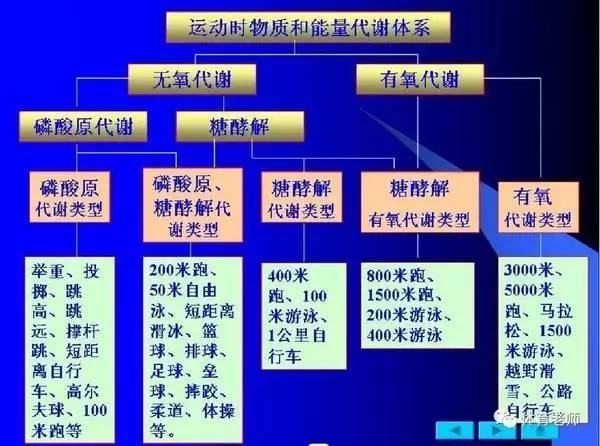 我们不教生物,可我们知道人体三大供能系统:atp-磷酸肌酸供能系统,糖