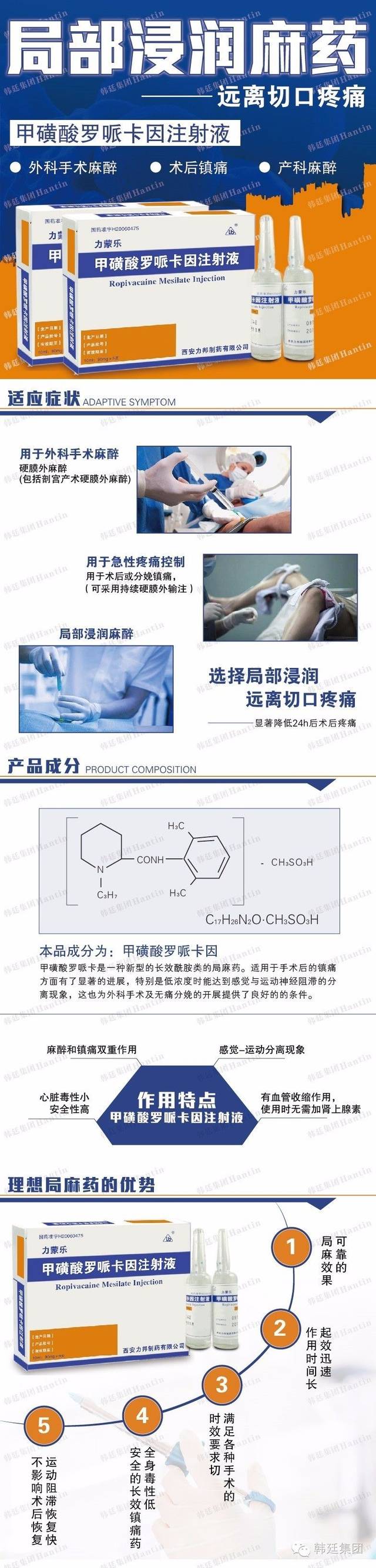 甲磺酸罗哌卡因注射液 | 局部浸润麻药