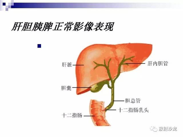 【课程学习】肝胆胰脾影像学表现