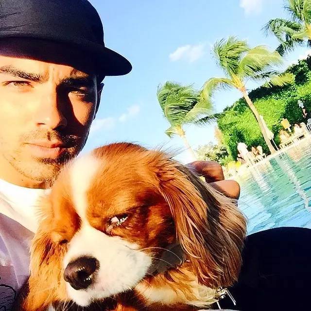 二哥joe jonas instagram 最受欢迎的一百张照片