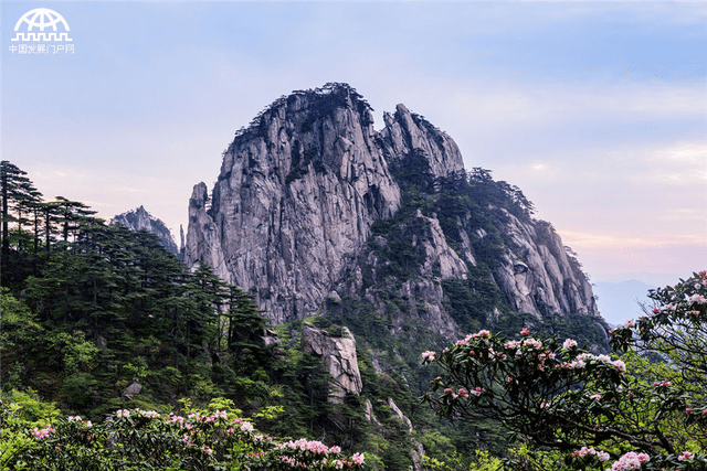 黄山:蓝天白云青松红花 撩人的春天风景